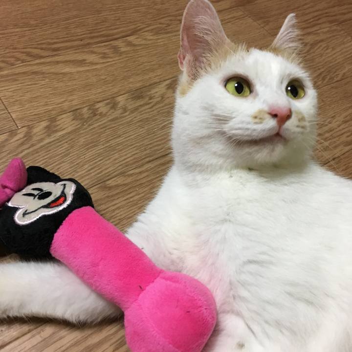 B1397c37 6f3f 4d06 8305 7a929e39389d