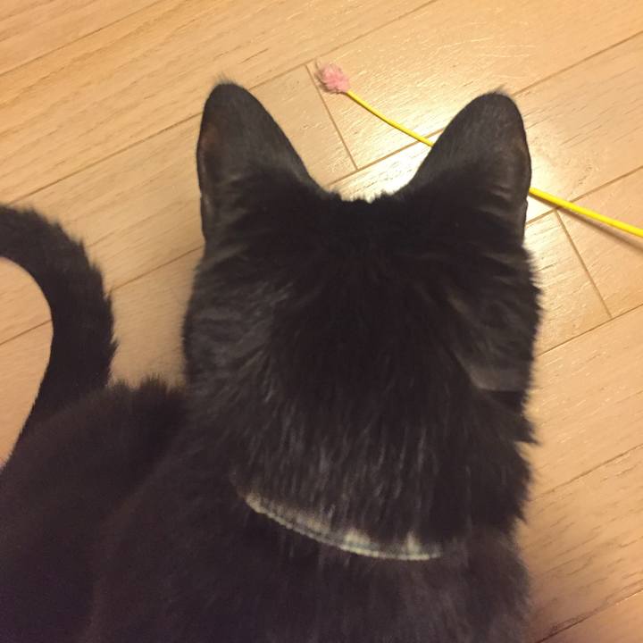 B139d9ce 5284 4651 9eb6 9fc4ec0f2809