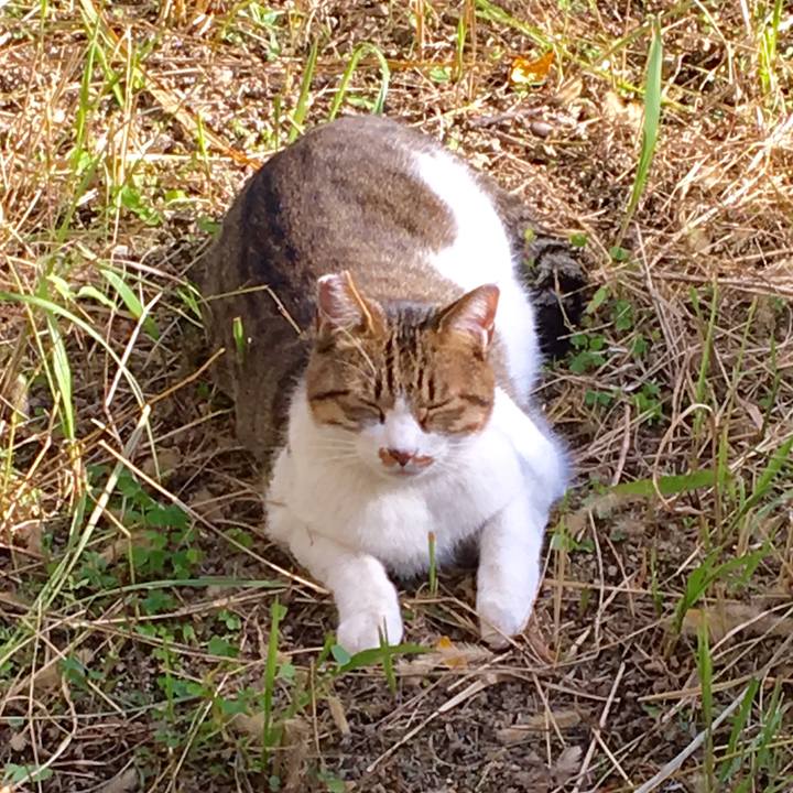 B139e4e9 f7dd 465a 80a8 e9170f99640e