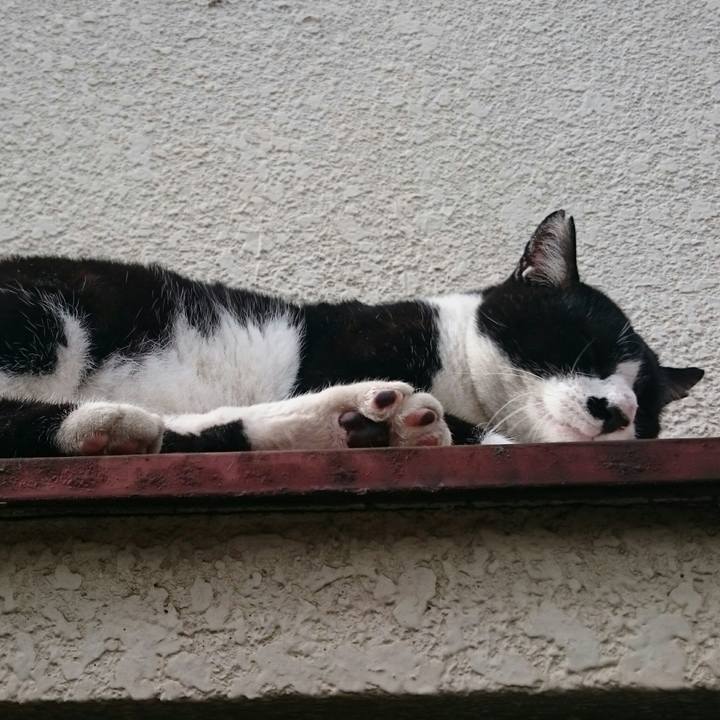 B13a12dd d6e9 4682 8881 975f2d940668