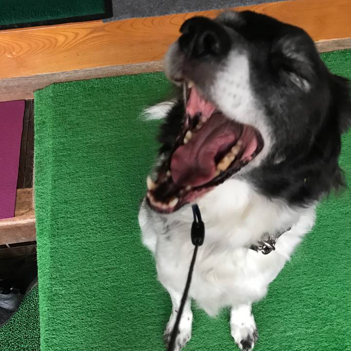 B13a263b 1b78 413c bc63 47f10d7bdff4