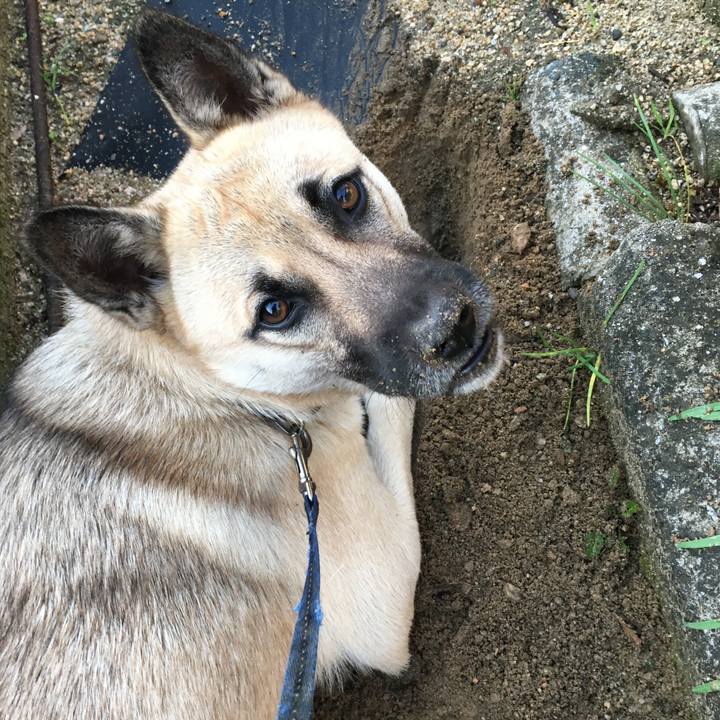 B13a480f 1263 412d b74f dcb1bf8c595f