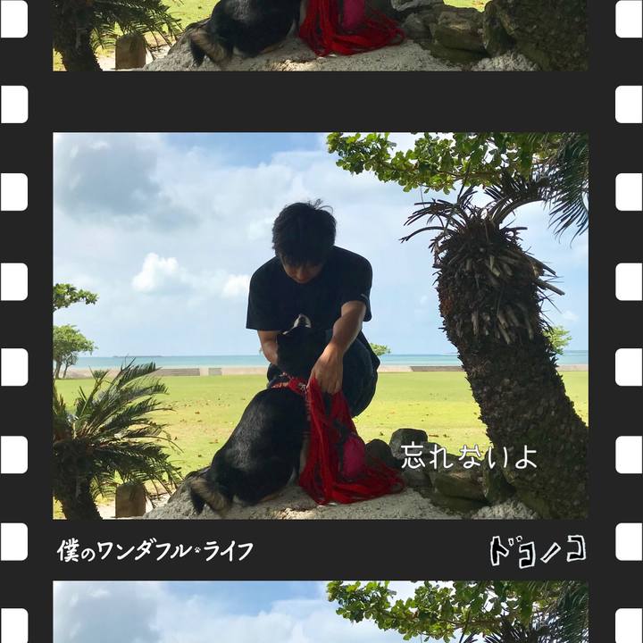 B13ac221 198b 48ff 92c7 3147f482e6fc