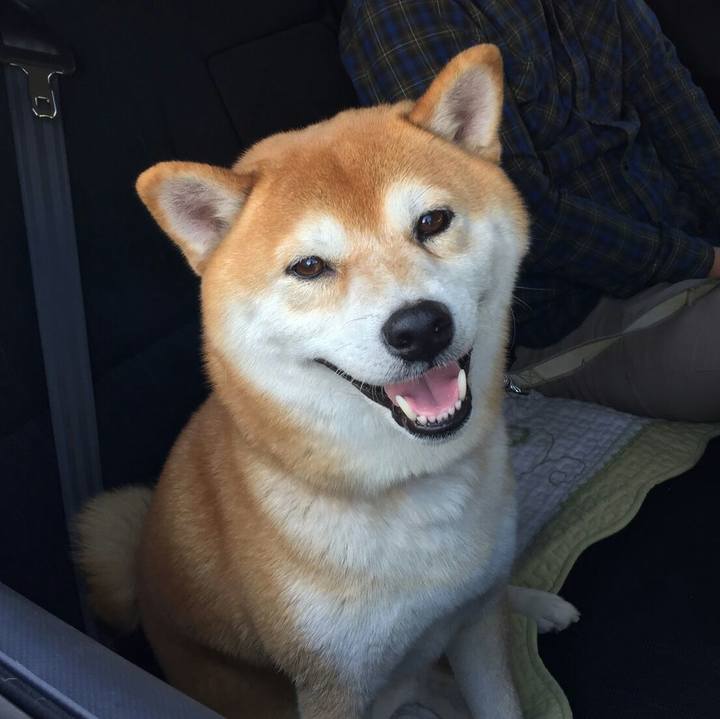 B13ac547 5adf 489b 9eff 94825ea394da