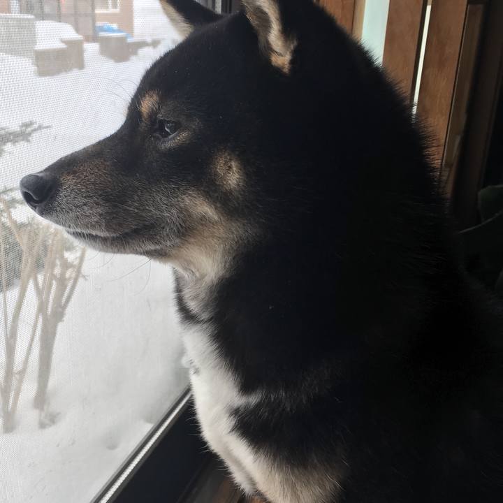 B13b9ec9 915e 479b 8709 d60f0858d986