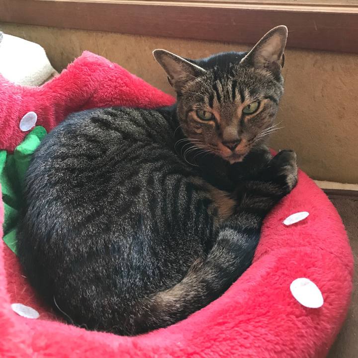 B13bc615 42ca 495b af68 5386ddba4fbd