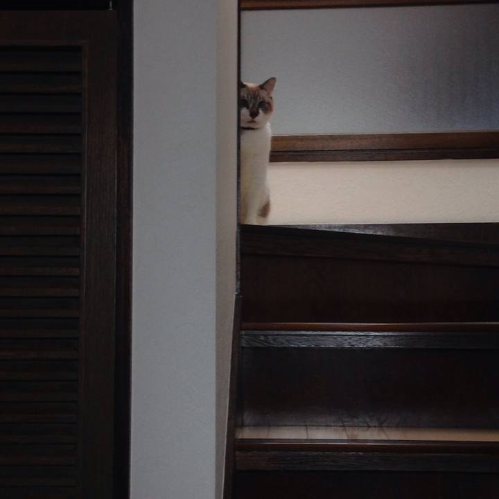 B13c2142 0eb3 4636 b434 0cbdeacde44c