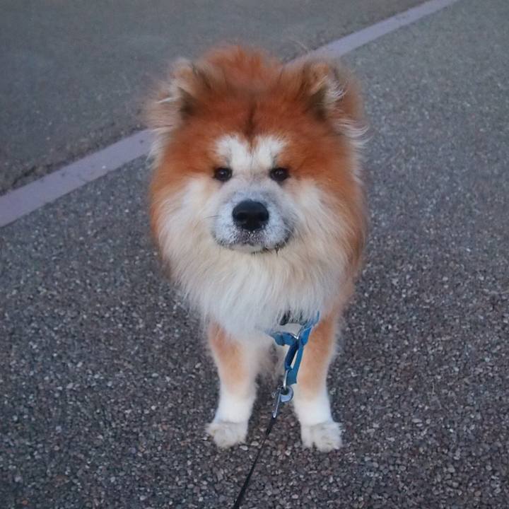 B13c9326 193d 4c9c aa09 3176f2a57429