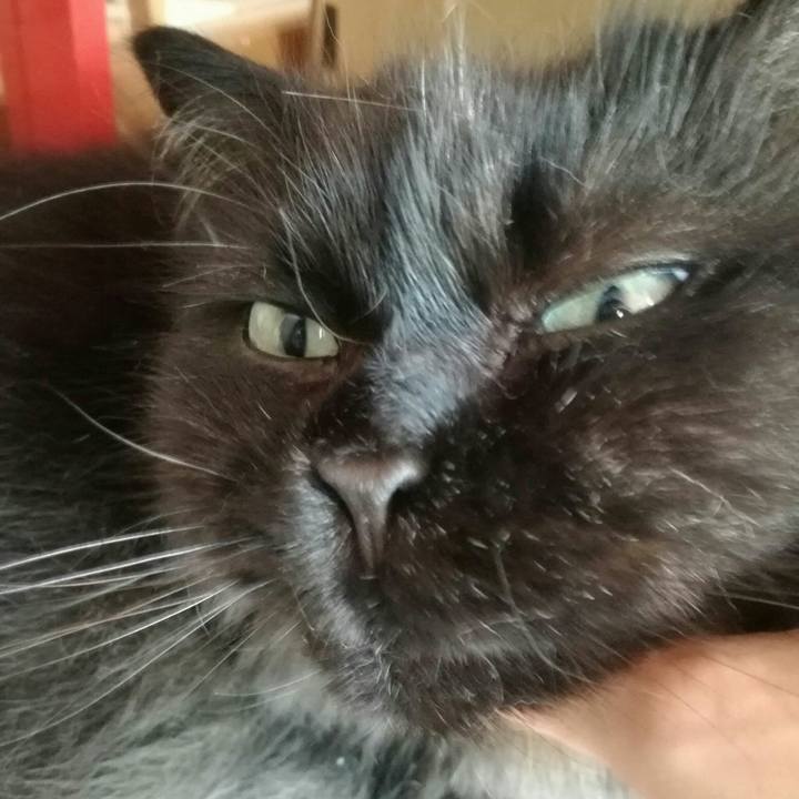 B13caf27 4fea 4386 9ef9 b748dd7689f7