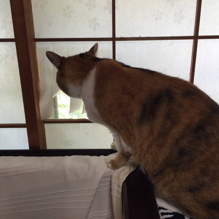 B13cd878 7e68 443d b1fb 9832dac17137