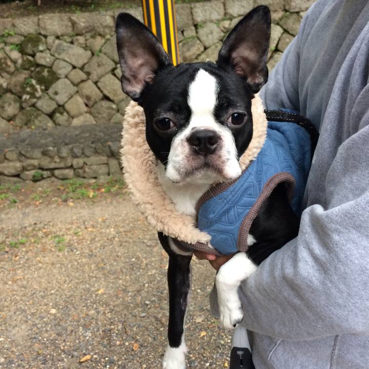 B13ded25 0e1a 4d40 b609 19a76eab3f06