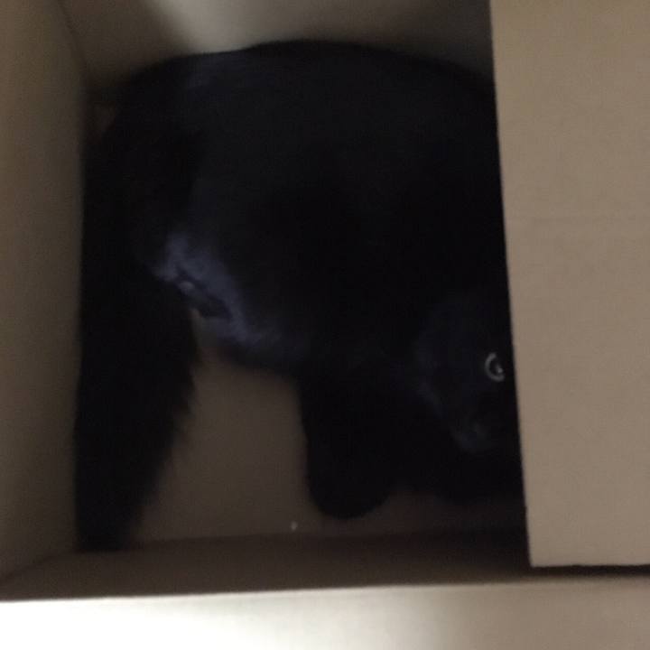 B13e1fc7 6149 4cc3 91b5 4dd9150d8e84