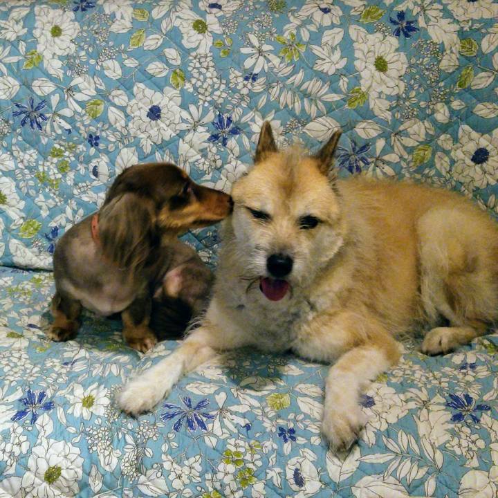 B13e34df 5ca3 458e ab14 8bd783cbe1be