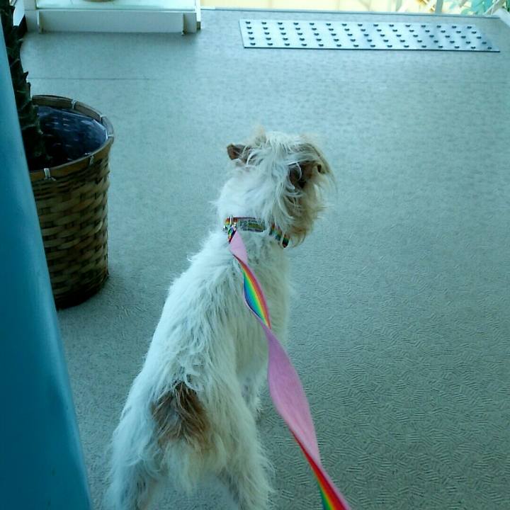 B13ed1e0 c171 48dd ab79 99579e717949