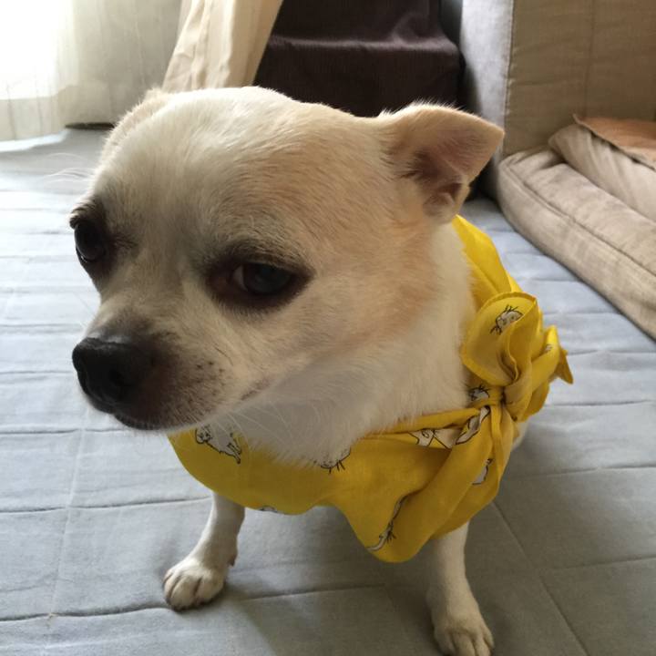 B13ef455 44bc 47ec 9744 01c596d09927