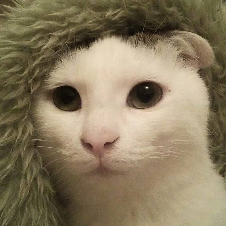 B13f1a71 e8f2 4f82 83c5 fc99dfe373bd