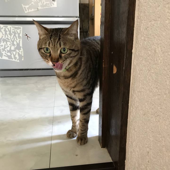 B14054fe c572 4088 8ce5 32f205088909