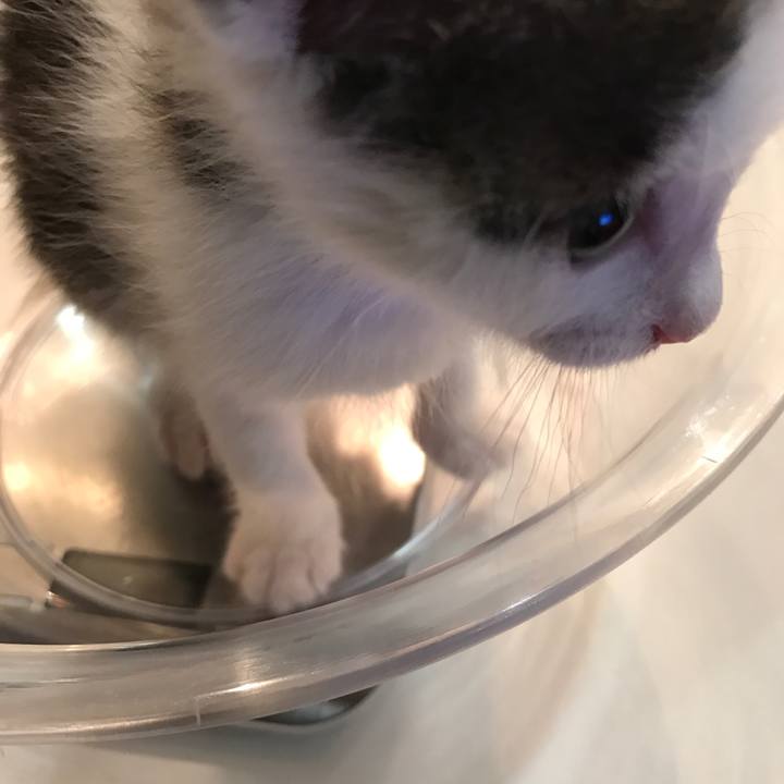 B1405b09 a6e2 4cb5 91af 7ed1652765f8