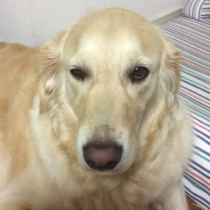 B14068c4 3651 4816 8512 d174ed8db564