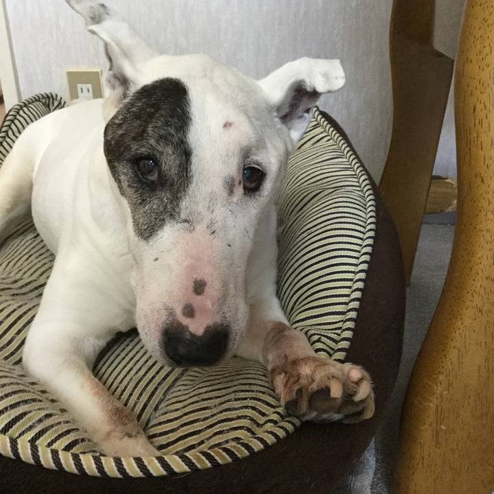 B140f41d a1eb 4590 83ce 43acfd6f12e5