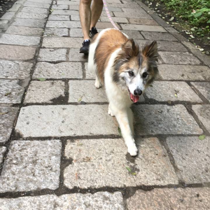 B14119da 8bba 4f28 b42e efa326599b3f