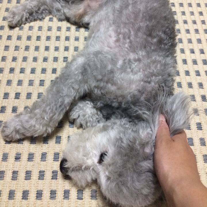 B14124f7 f206 4485 b1a9 81f0cf120fea