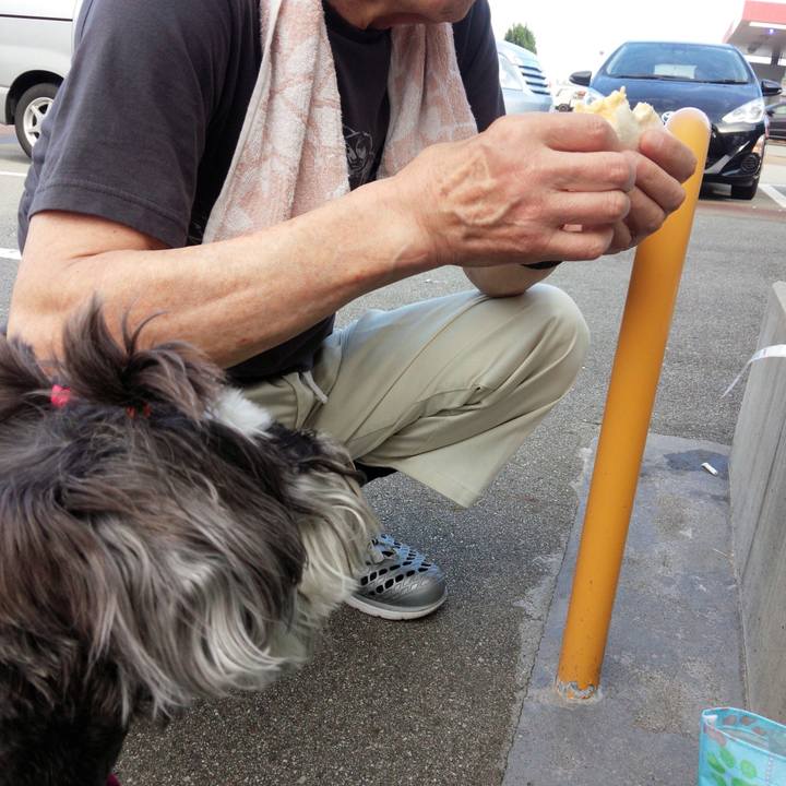 B141a167 cc1d 4054 8972 97adb2dfbe0b