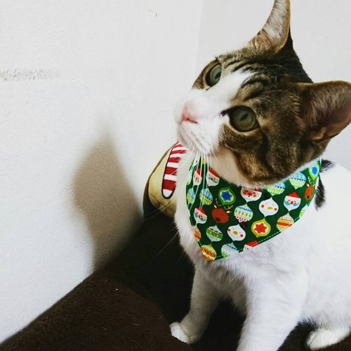 B1420931 5546 4d6a 9c86 2db08d1f8dbb