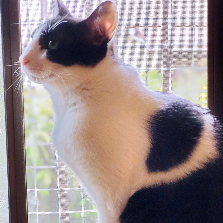 B1421098 8914 43c2 83dd 44823aebadd7