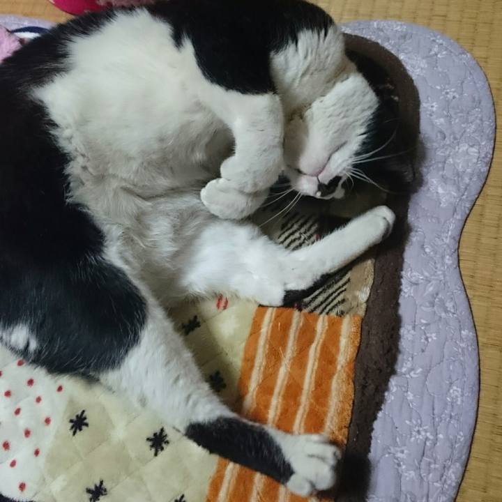 B1422258 ff3a 4e8a ad05 b8bf1fcb0d79