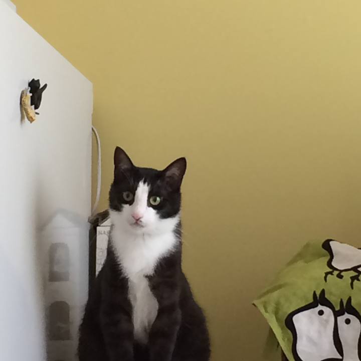 B142672f 0efd 4069 b1a9 f7b83347e3af