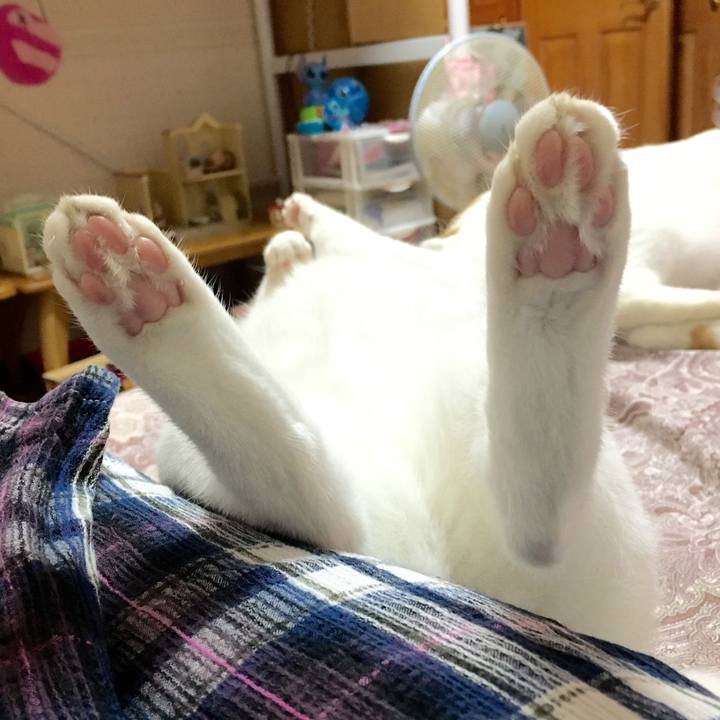 B1434a2e c8cc 4319 975d e93dd82051c2