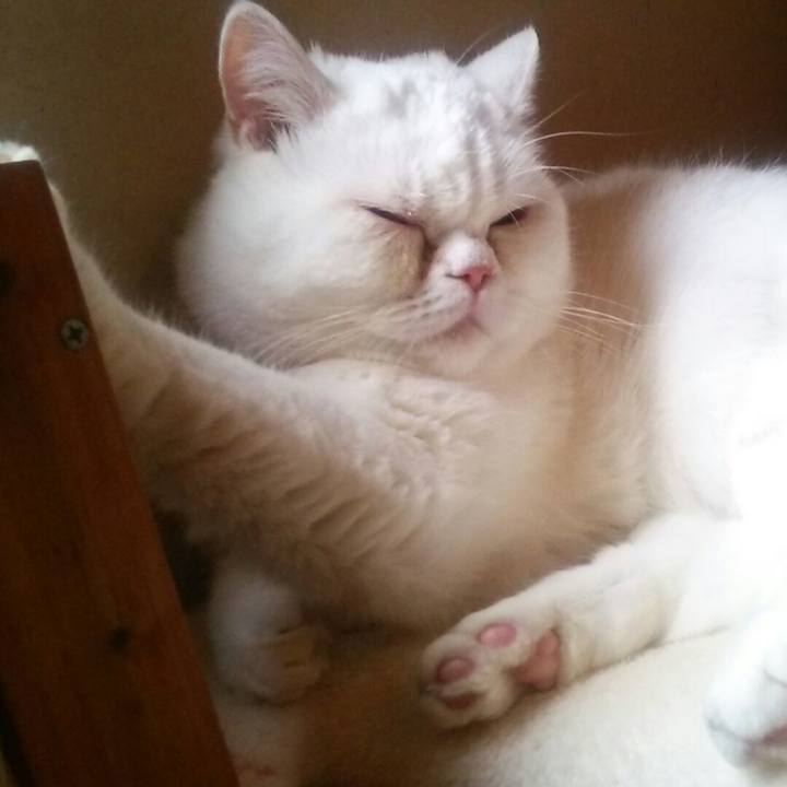 B1437507 769d 447f 8df2 c5351d3f6ccd