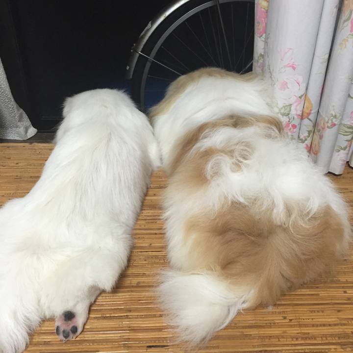 B14378ac 2d21 47ef ab42 1cbad3abf9ad