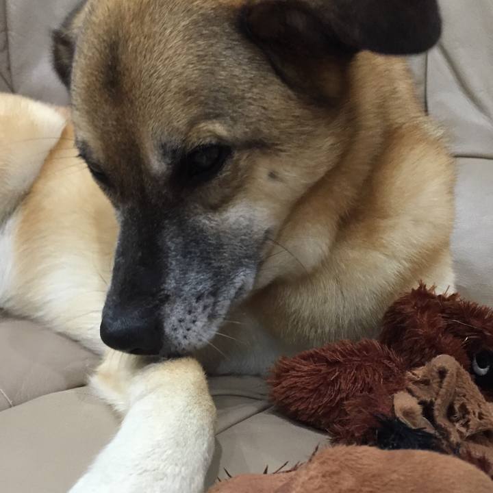 B143a22d ab0a 4ef4 b8d7 bfabda528409