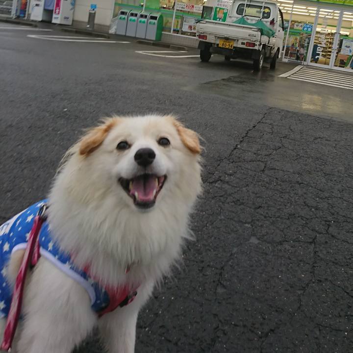 B143e3eb 9c07 4ad3 94ed c376c02c858f