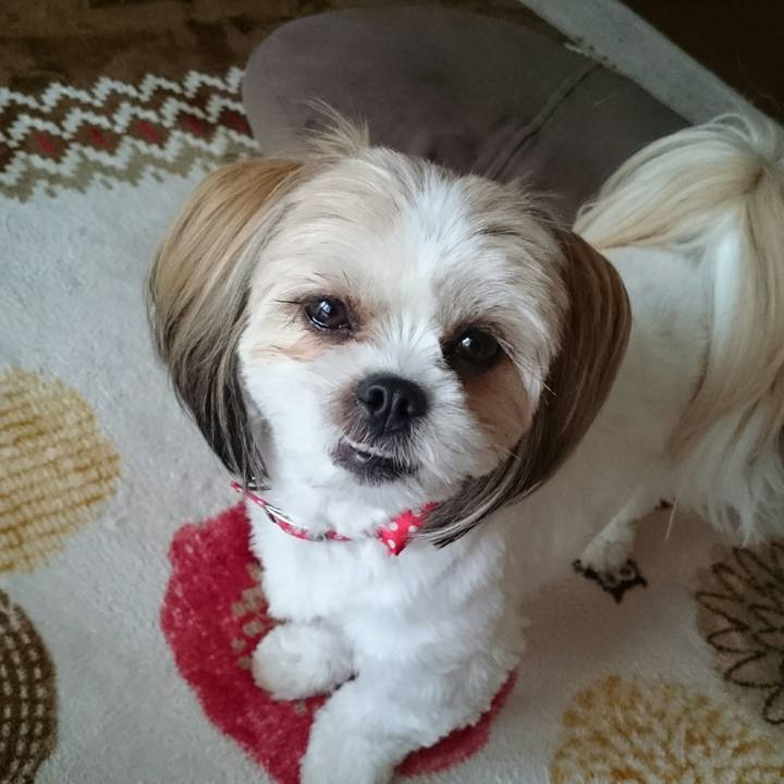 B144b765 b148 4d91 8b71 b891ade023e6