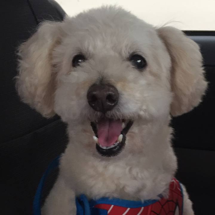 B145f6f5 a81c 4b9f a6b4 e0701a6fc06f