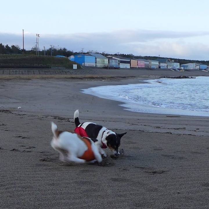 B1463a84 36b3 4c8f bbed 5bb7a280b75a