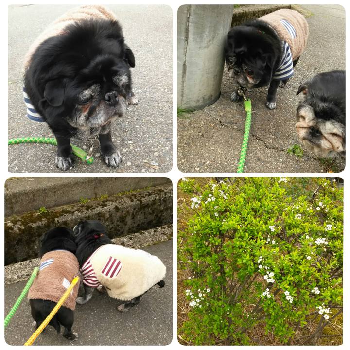 B1465bf5 89db 4647 bda8 a3608e234f7f