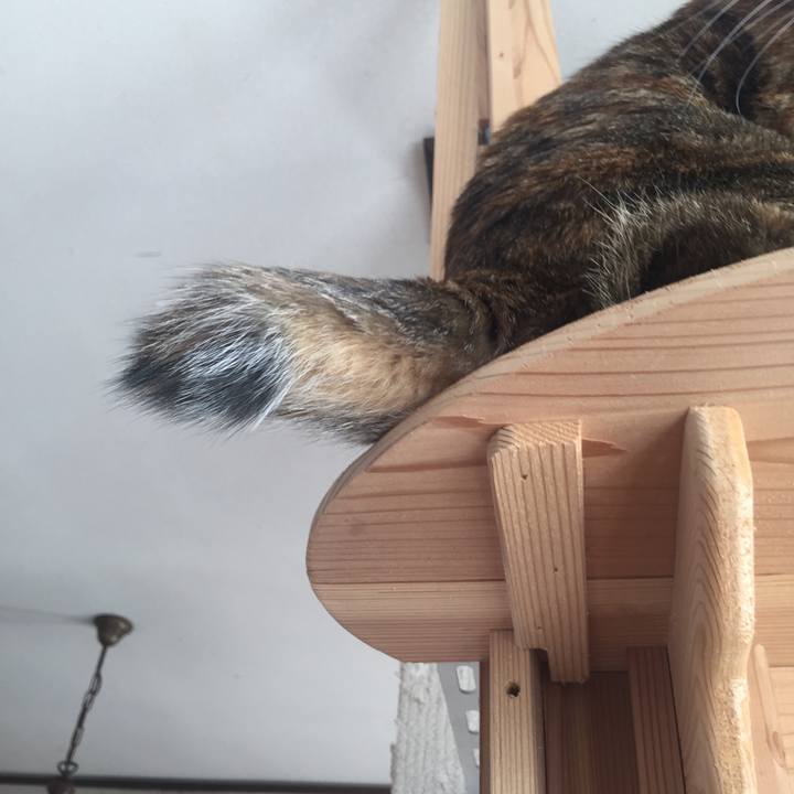 B14681ca 60f9 4ae9 ac38 b1d73beb17b0