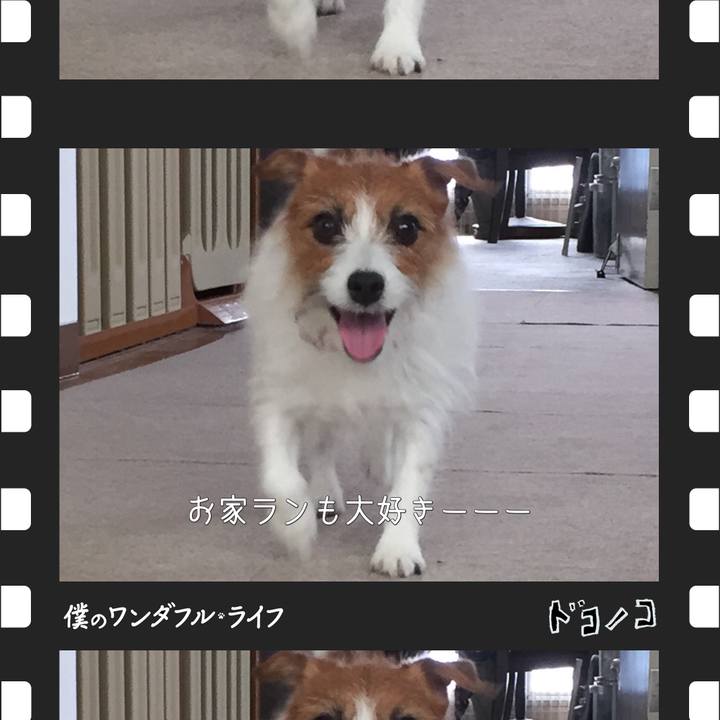 B1472b53 9cc2 49ea b9ee 7be74c833f8b