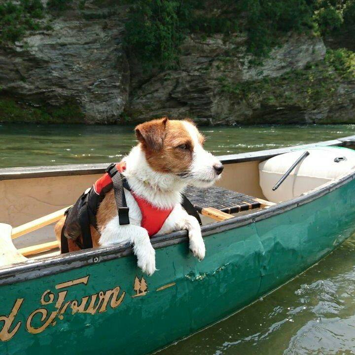 B1472eee bff4 44f3 bb73 ed56e21bf535