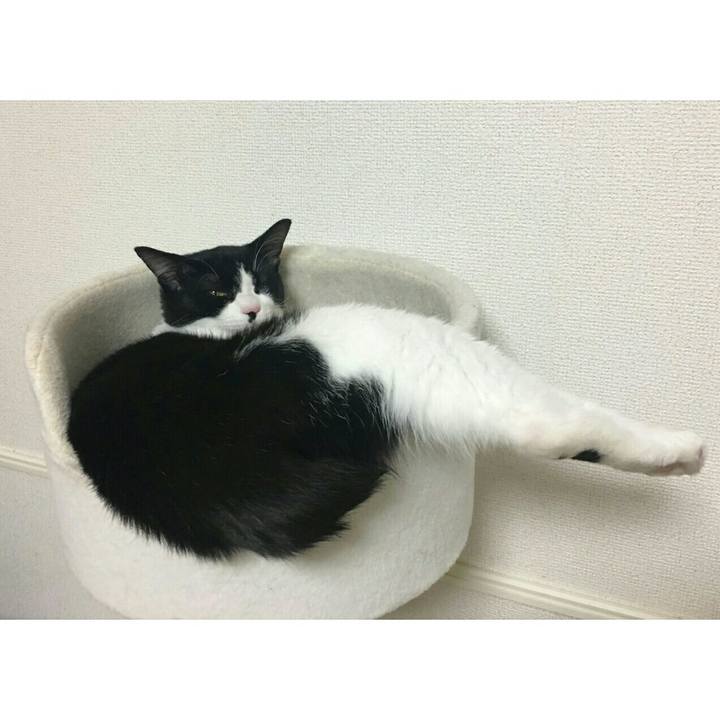 B147b5c4 4c6d 4f92 9d5d a65baa3cf072