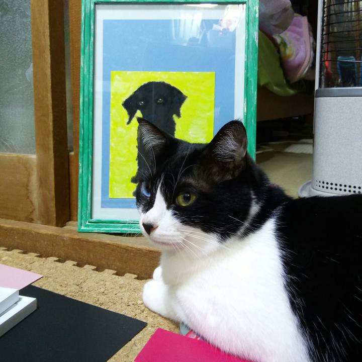 B147de89 662f 46ca a36c 9626df926b10