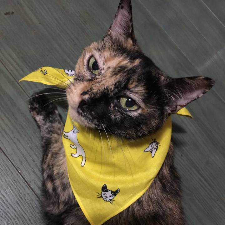 B148157c bb0f 471f 8abd 36b00d3f06e2