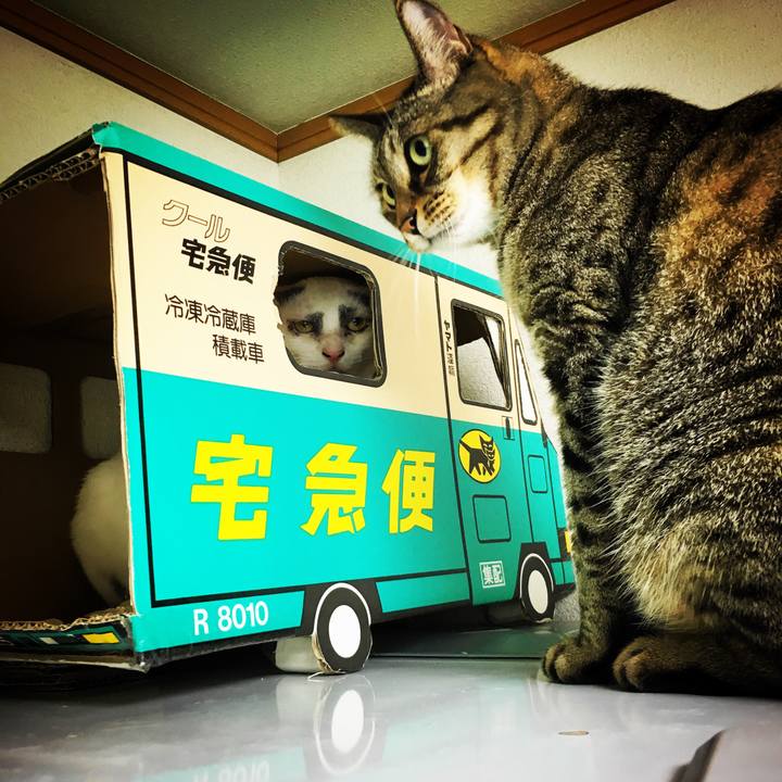 B1482e9f 7a0e 4bc2 9868 b74f5ac779e5