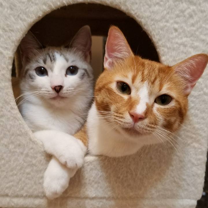 B1483b95 e7a8 4e6c b0cc 403a94b3dded