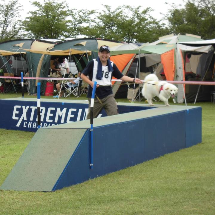 B1491c54 433c 4b0b 9272 1471822c625b