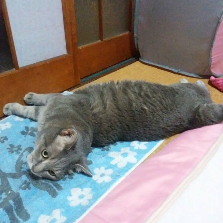 B1492417 77bc 467a ab58 facaf0c422e0